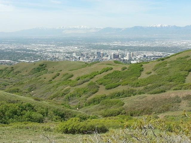 View from the BSL trail